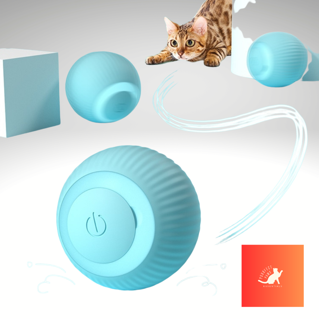 Smart Electric Ball Cat Toy